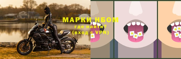 шишки Балахна