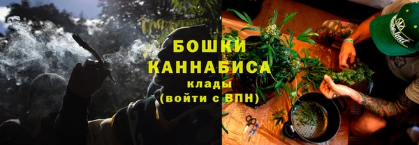 сатива Арсеньев