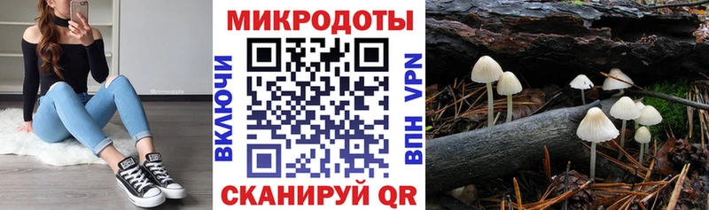 OMG   Соль-Илецк  Галлюциногенные грибы Psilocybe 