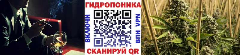 Канабис конопля  Соль-Илецк 